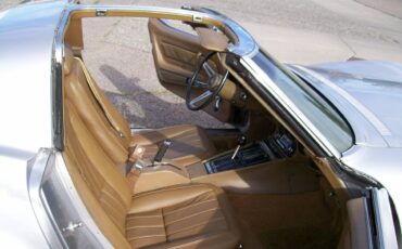 Chevrolet-Corvette-stingray-1969-silver-13