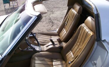 Chevrolet-Corvette-stingray-1969-silver-14