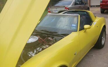 Chevrolet-Corvette-stingray-1978-yellow-4