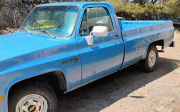 Chevrolet-Deluxe-c10-1986-blue-1