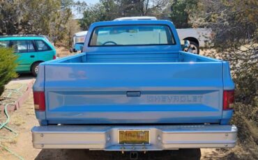 Chevrolet-Deluxe-c10-1986-blue-3