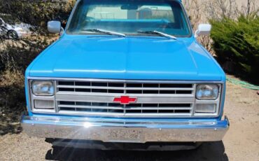 Chevrolet-Deluxe-c10-1986-blue
