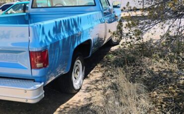 Chevrolet-Deluxe-c10-1986-blue-5