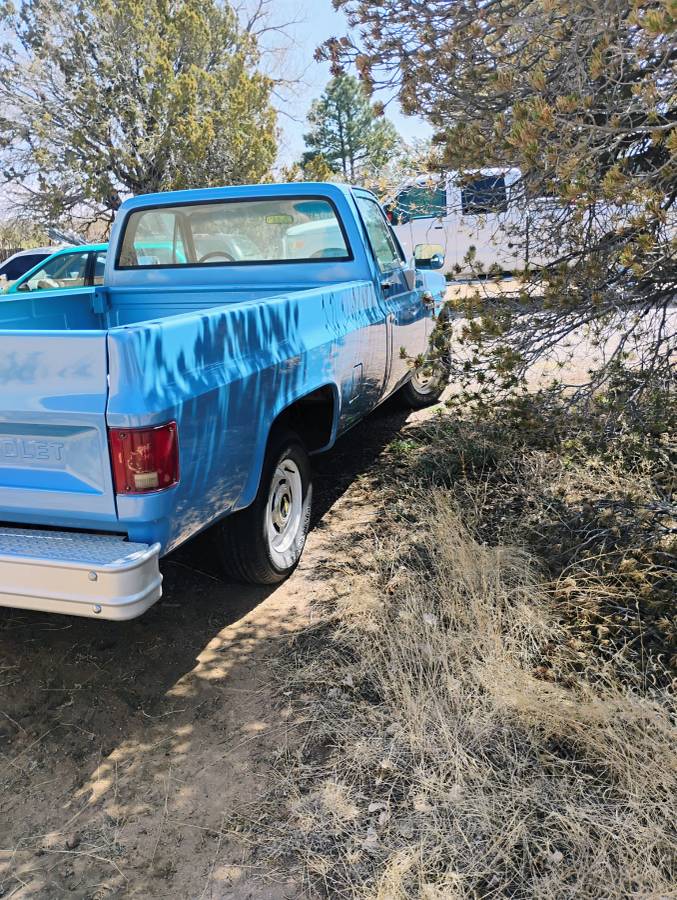 Chevrolet-Deluxe-c10-1986-blue-5