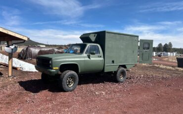 Chevrolet-Diesel-1985-green-2
