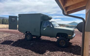 Chevrolet-Diesel-1985-green-3
