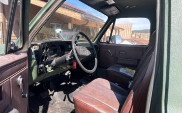 Chevrolet-Diesel-1985-green-4