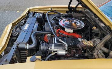 Chevrolet-El-Camino-1969-16