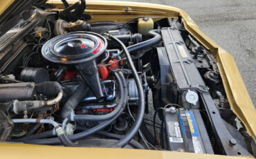 Chevrolet-El-Camino-1969-18