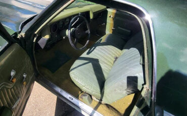 Chevrolet-El-Camino-1971-Standard-Cab-Pickup-6