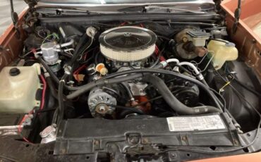 Chevrolet-El-Camino-1982-Pickup-10