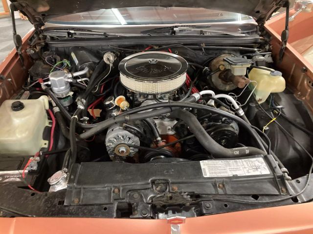 Chevrolet-El-Camino-1982-Pickup-10