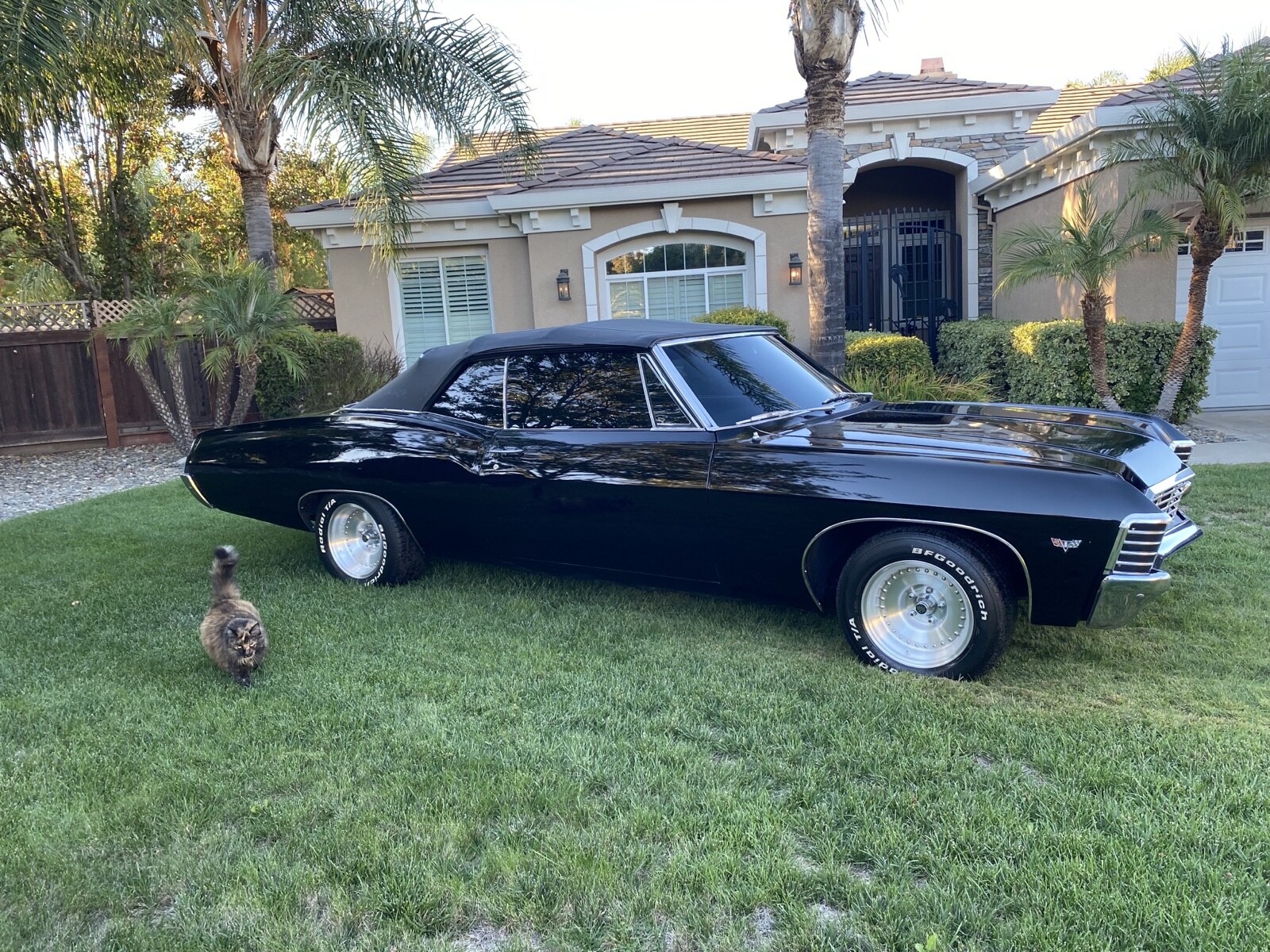 Chevrolet-Impala-1967-1