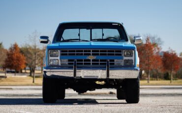 Chevrolet-K-10-1986-2D-Standard-Cab-14