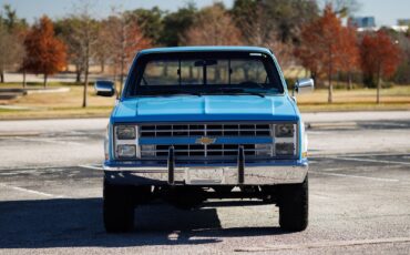 Chevrolet-K-10-1986-2D-Standard-Cab-15