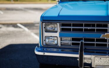 Chevrolet-K-10-1986-2D-Standard-Cab-18
