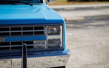 Chevrolet-K-10-1986-2D-Standard-Cab-19