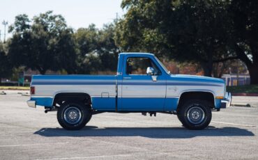Chevrolet-K-10-1986-2D-Standard-Cab-20