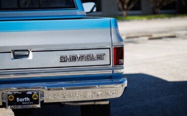 Chevrolet-K-10-1986-2D-Standard-Cab-24