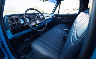 Chevrolet-K-10-1986-2D-Standard-Cab-28
