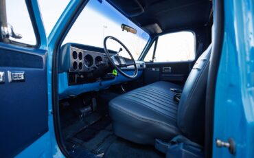 Chevrolet-K-10-1986-2D-Standard-Cab-29