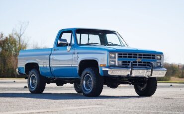 Chevrolet-K-10-1986-2D-Standard-Cab-3