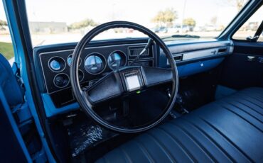 Chevrolet-K-10-1986-2D-Standard-Cab-30