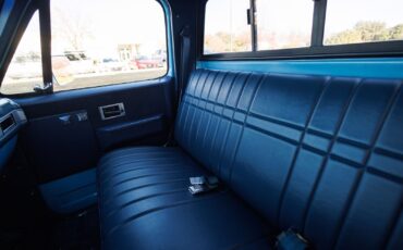 Chevrolet-K-10-1986-2D-Standard-Cab-31
