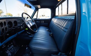 Chevrolet-K-10-1986-2D-Standard-Cab-33