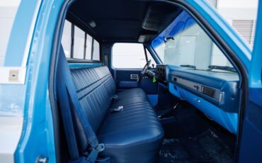Chevrolet-K-10-1986-2D-Standard-Cab-34