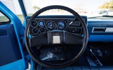 Chevrolet-K-10-1986-2D-Standard-Cab-36