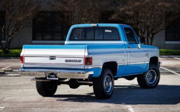Chevrolet-K-10-1986-2D-Standard-Cab-7