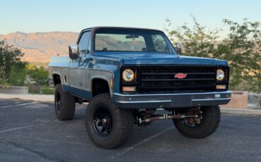 Chevrolet-K10-1979-Standard-Cab-Pickup-5