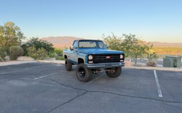 Chevrolet-K10-1979-Standard-Cab-Pickup-8