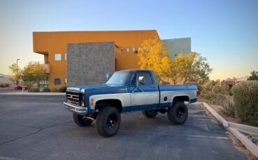 Chevrolet-K10-1979-Standard-Cab-Pickup-9
