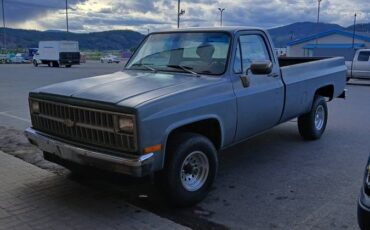 Chevrolet-K10-1981-grey-1