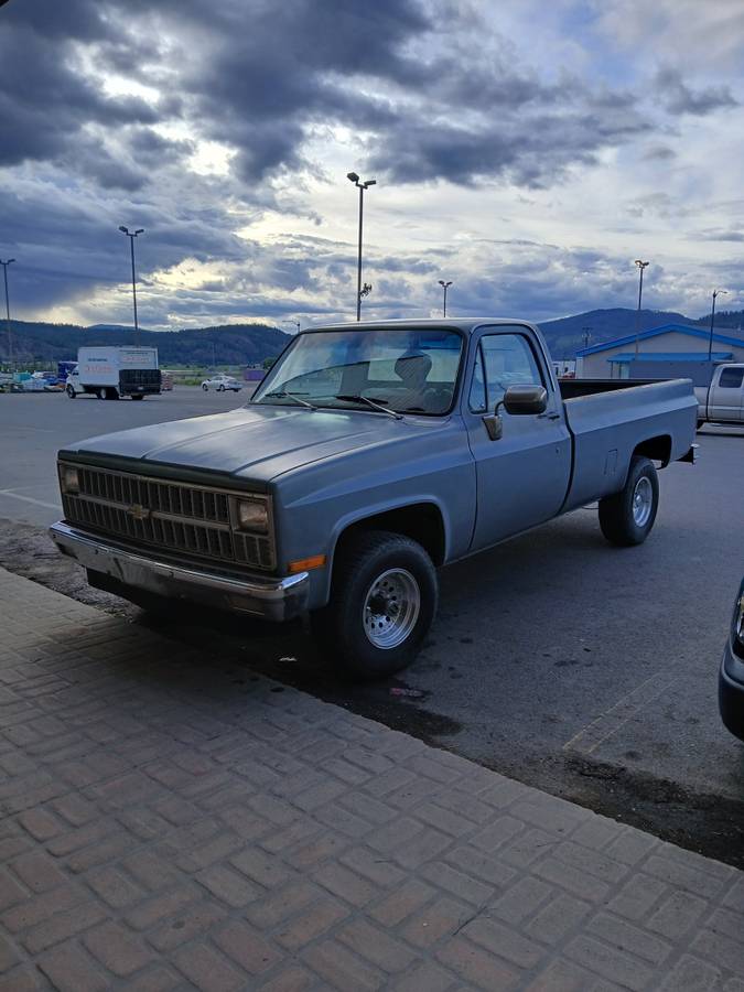 Chevrolet-K10-1981-grey-1