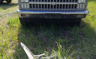 Chevrolet-K10-1981-grey-2