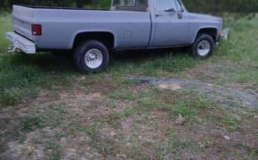Chevrolet-K10-1981-grey