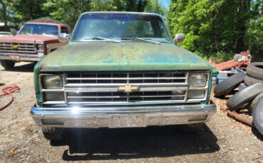 Chevrolet-K10-1983-Standard-Cab-Pickup-1