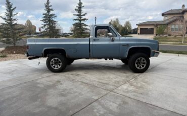 Chevrolet-K10-1984-blue-4