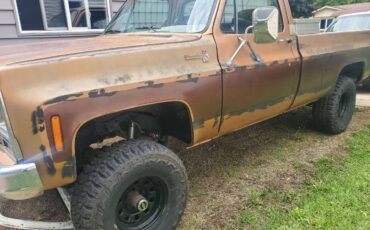 Chevrolet-K10-silverado-4x4-1979-brown-1