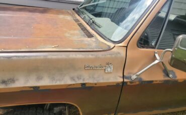 Chevrolet-K10-silverado-4x4-1979-brown-2