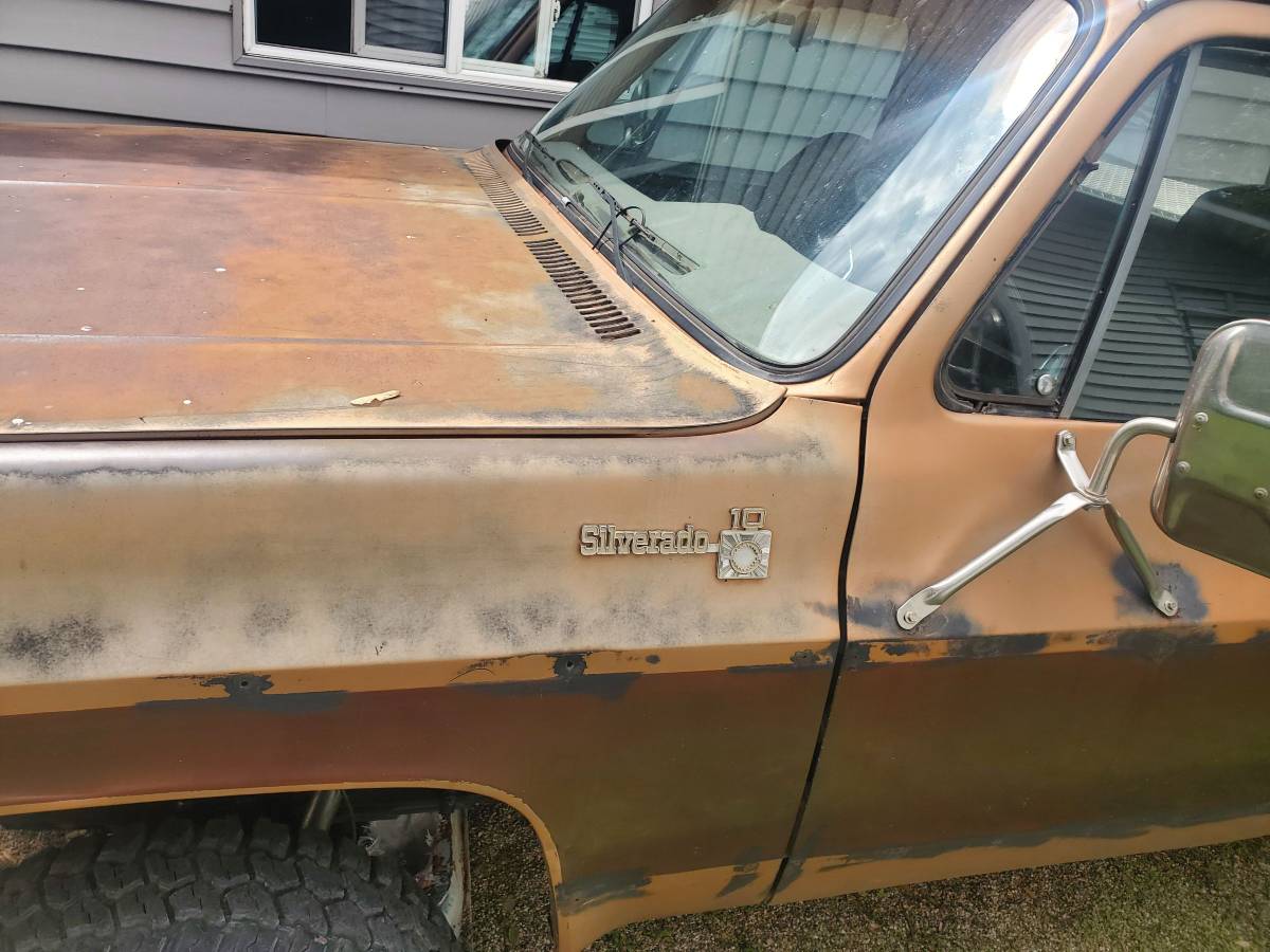 Chevrolet-K10-silverado-4x4-1979-brown-2