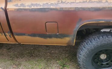 Chevrolet-K10-silverado-4x4-1979-brown-3