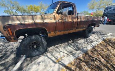 Chevrolet-K10-silverado-4x4-1979-brown