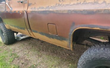 Chevrolet-K10-silverado-4x4-1979-brown-4