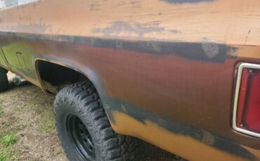 Chevrolet-K10-silverado-4x4-1979-brown-5