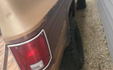 Chevrolet-K10-silverado-4x4-1979-brown-7