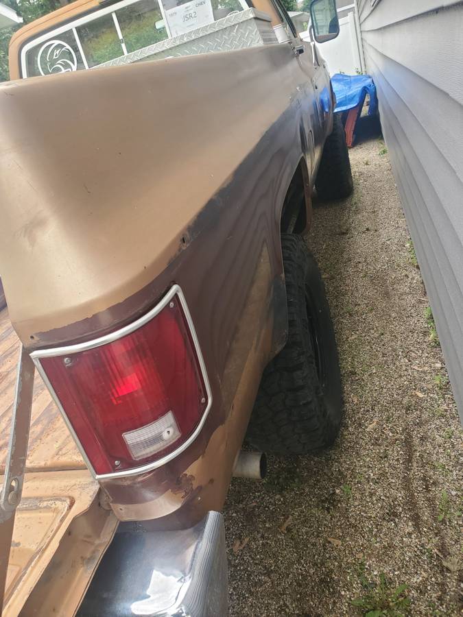 Chevrolet-K10-silverado-4x4-1979-brown-7